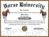 horse diploma